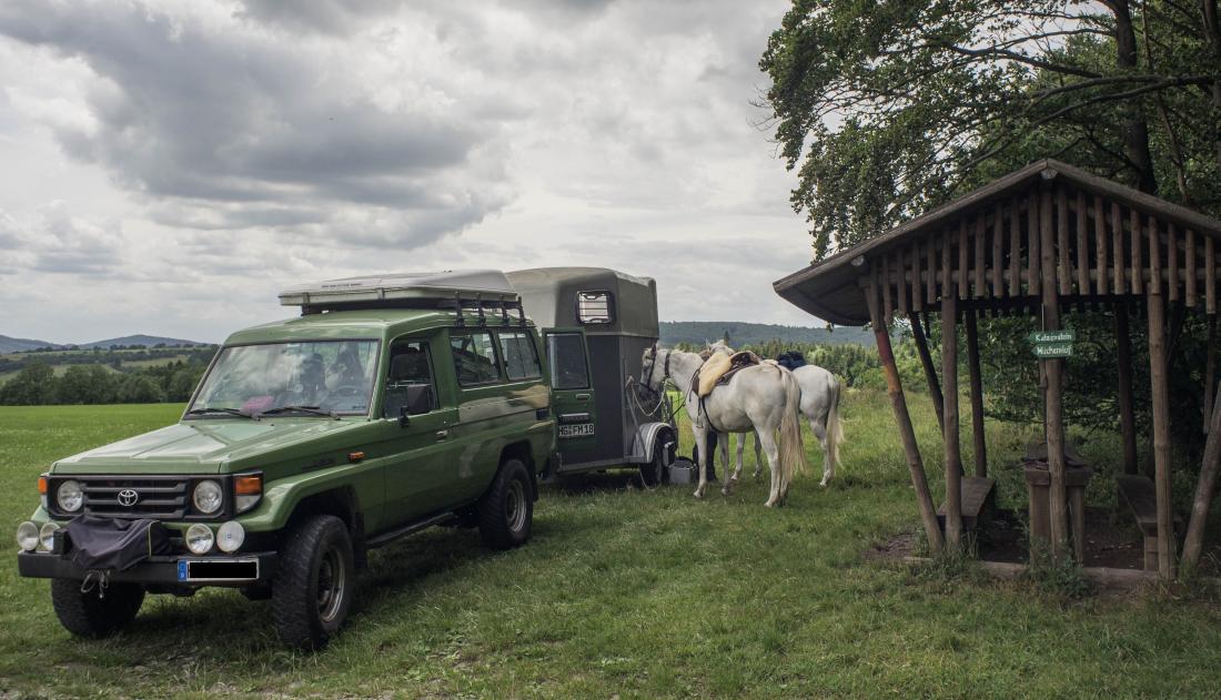 Am Mückenhof (2011)