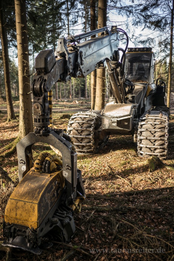 Harvester im Wald
                bei Glashtten