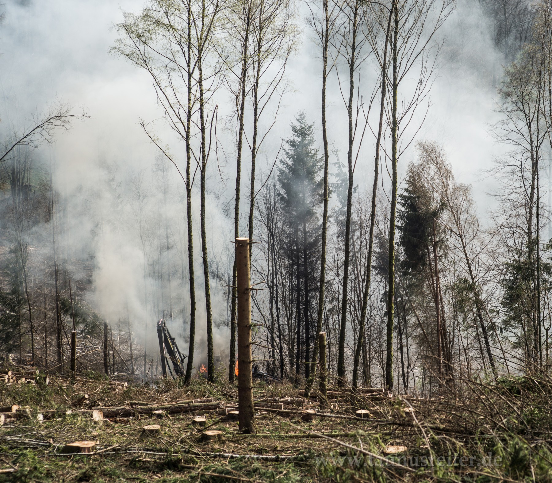 Harvesterbrand bei Reichenbach 21.4.2021