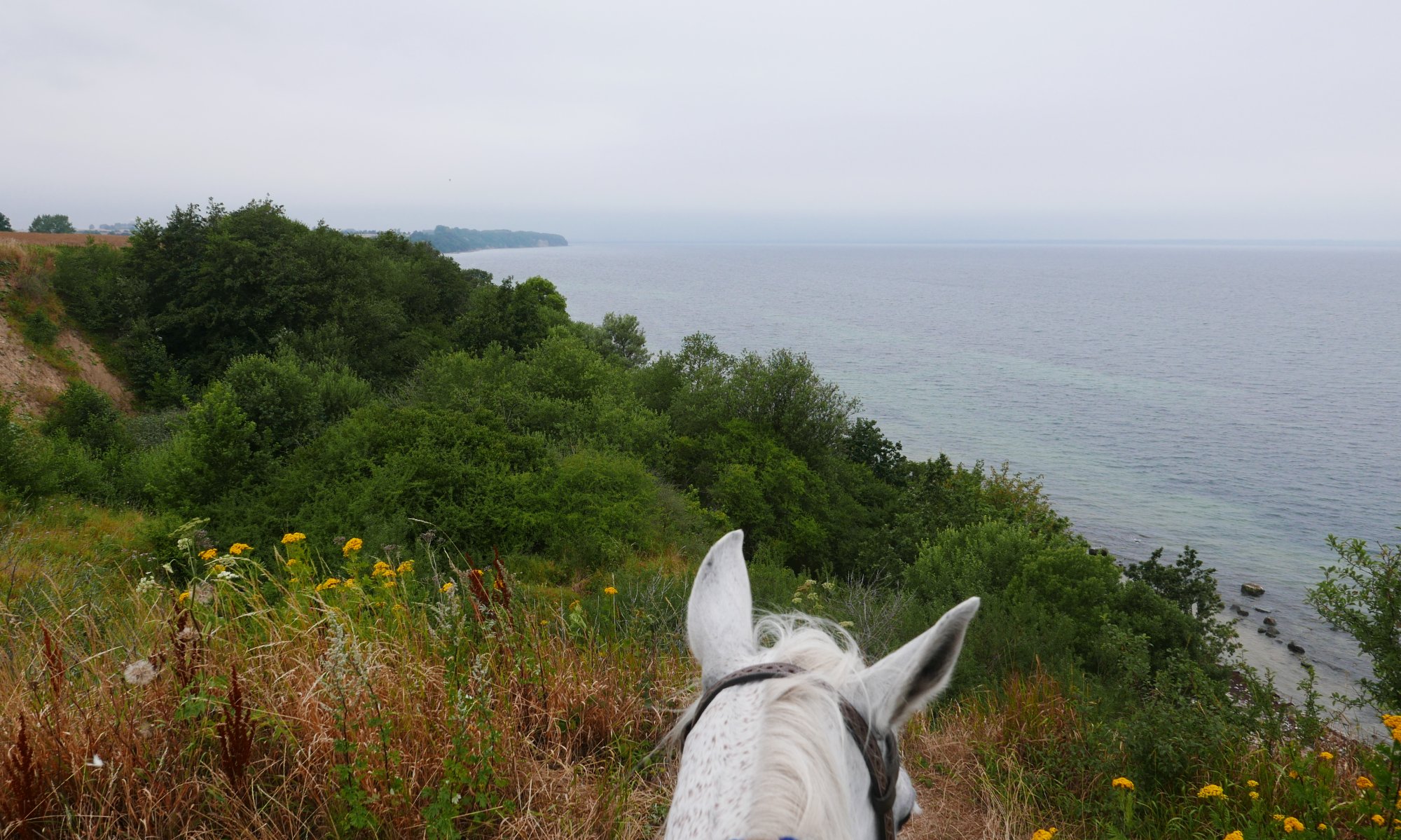 Steilküste Klützer
Winkel