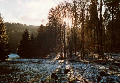 Niedgesbachtal
