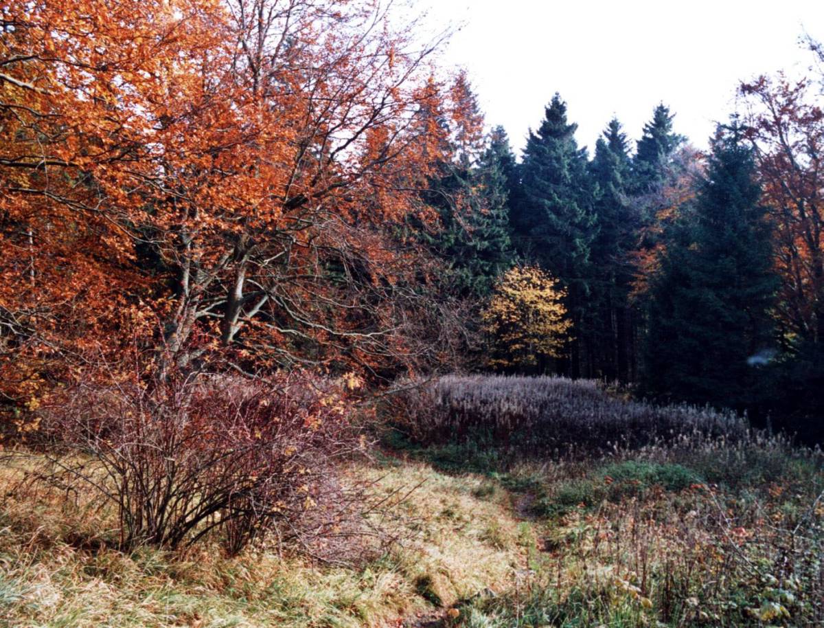 Rhön